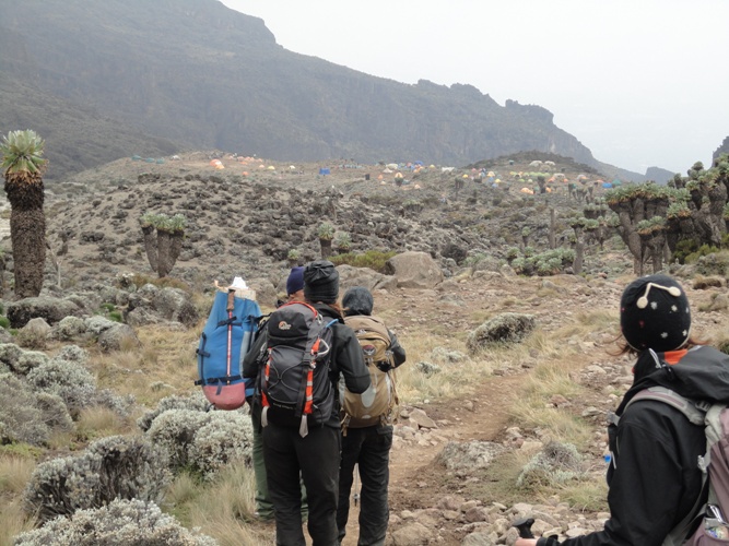 Descending into Barranco Camp on Kilimanjaro.