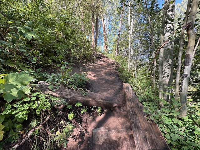 Why Training on Vail's Berrypicker Trail
