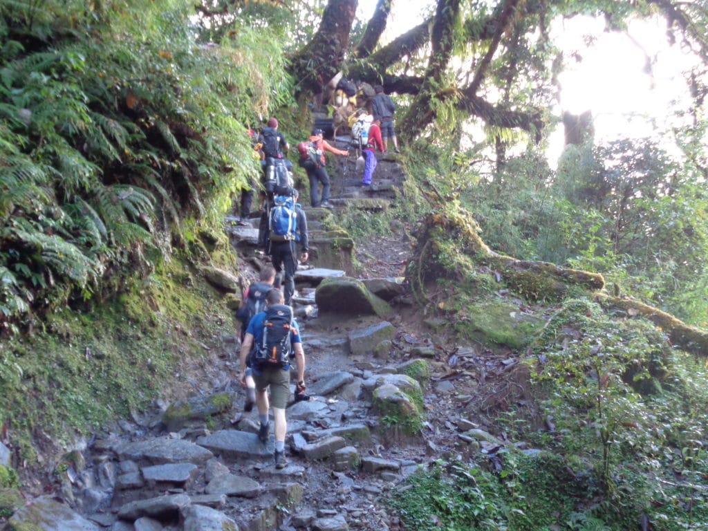 The Trek into Mera Peak
