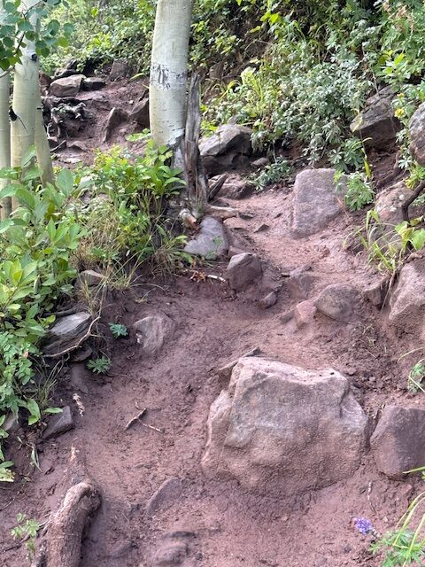 Why Training on Vail's Berrypicker Trail is Key for International Treks