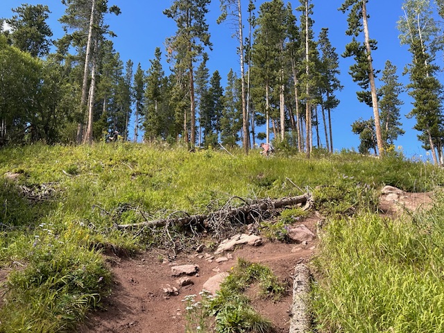 Why Training on Vail's Berrypicker Trail is Key for International Treks