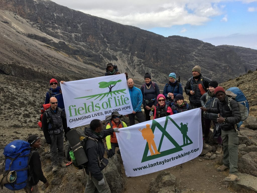 The Barranco valley on Kilimanjaro