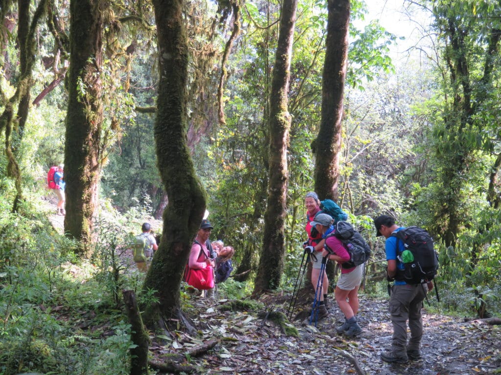 Elevation gains for your Annapurna Base Camp Trek