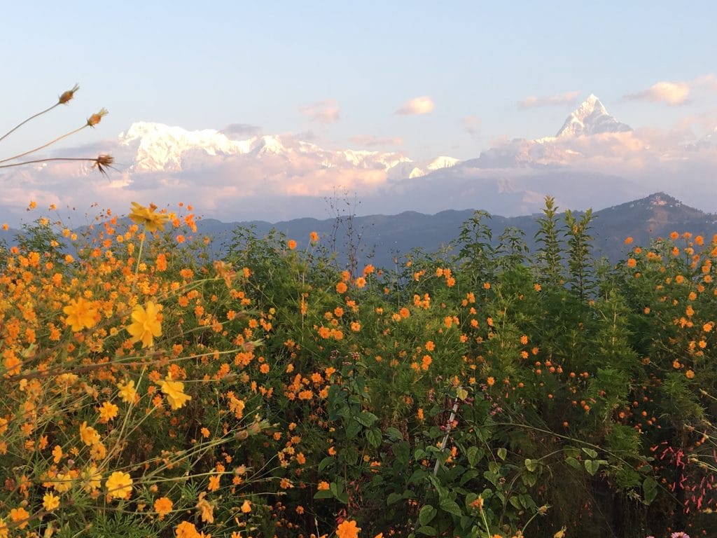 Best view points on the Annapurna Base Camp Trek