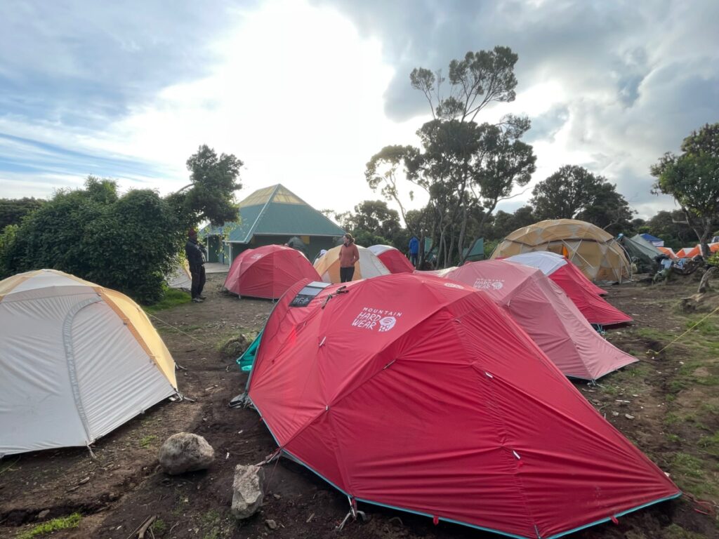 Kilimanjaro's Number 1 Guide