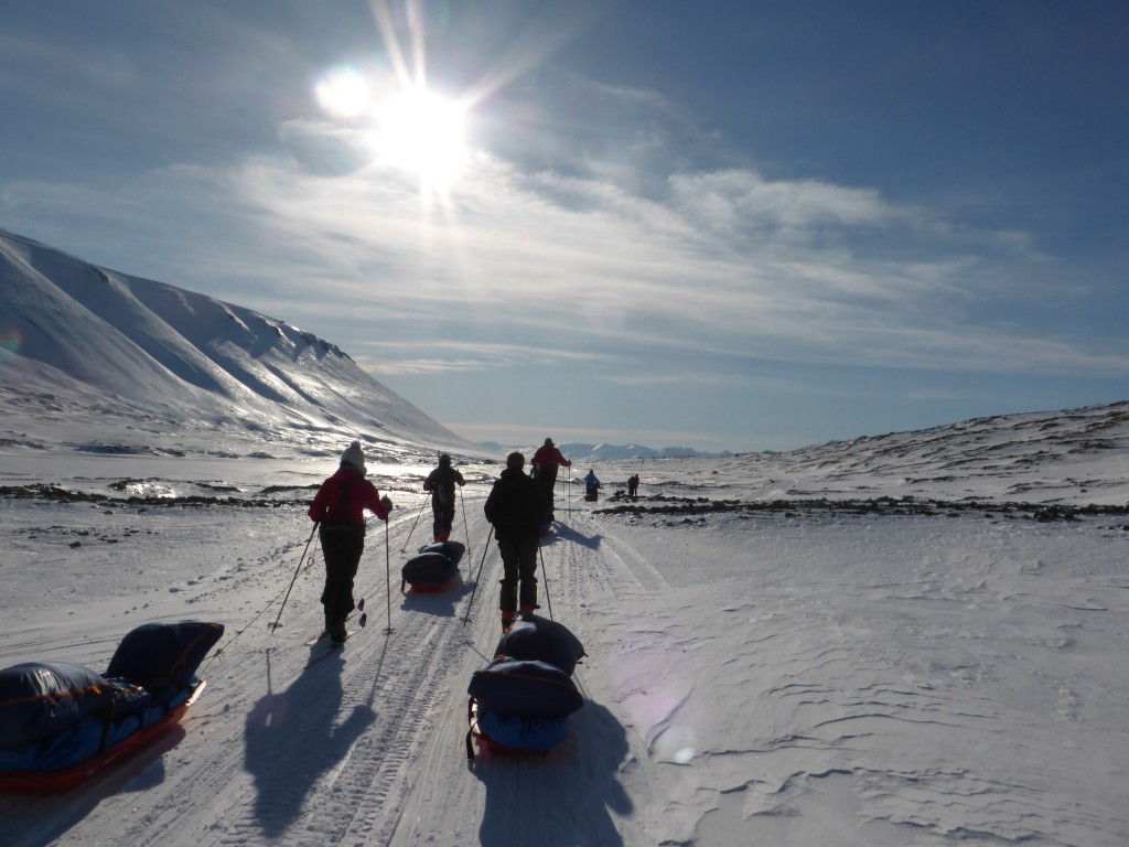Ski training in Norway