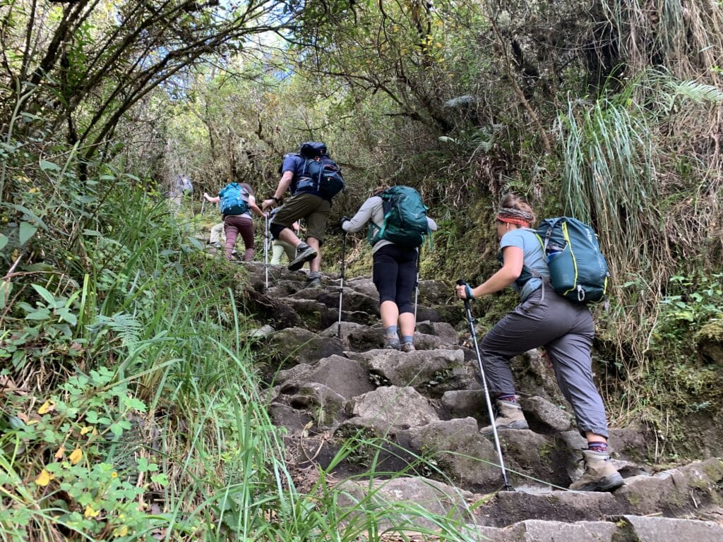 The Inca trail to Machu Picchu