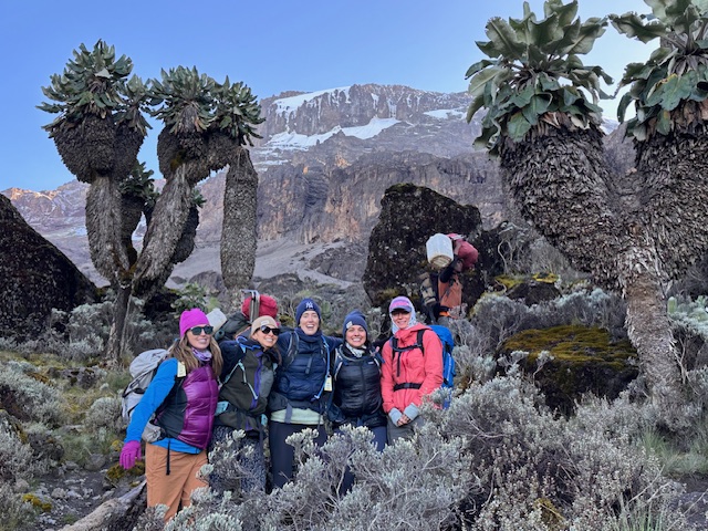 Uhuru Peak from Barranco Camp