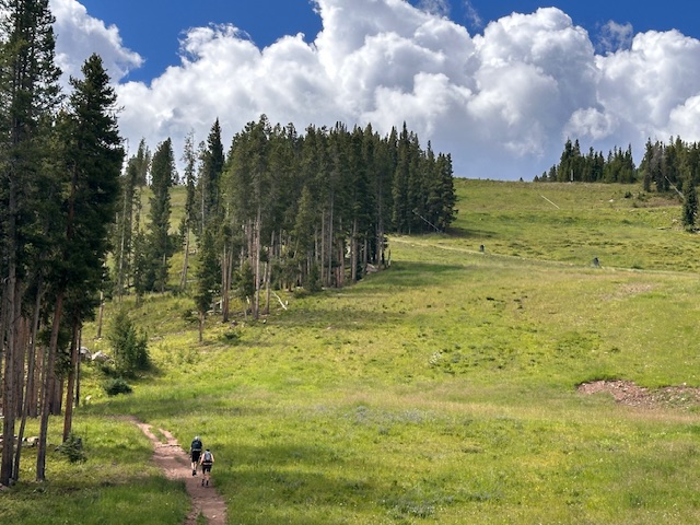Vail's Berrypicker Trail 
