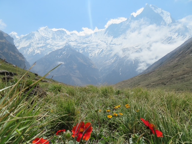 Top 10 tips for trekking to Annapurna Base Camp