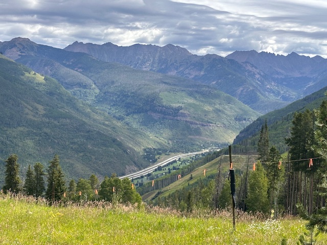 Why Training on Vail's Berrypicker Trail
